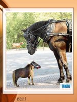 10 nghịch lí  của cuộc sống