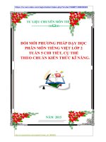 ĐỔI MỚI PHƯƠNG PHÁP DẠY HỌC  PHÂN MÔN TIẾNG VIỆT LỚP 2  TUẦN 5 CHI TIẾT, CỤ THỂ    THEO CHUẨN KIẾN THỨC KĨ NĂNG.