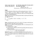 Thi HSG cap truong Nghe An