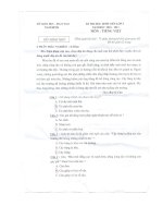 Cuc hotDe TiengViet lop5 hsg tinh Nam Dinh nam 2011