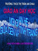 Bai 19 Moi quan he giua gen va tinh trang