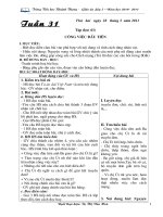 Giáo án Tuần 30+31 theo CKTKN