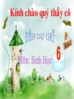 bai 46 thuc vat gop phan dieu hoa khi hau