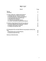luận văn  kinh tế phát triển Đề án Tác động của du lịch tới phát triển kinh tế Malaysia