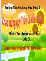 Trái Đất. Quả địa cầu