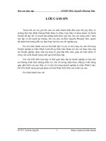 Phân tích hiệu quả hoạt động kinh doanh bằng những giải pháp nâng cao hiệu quả hoạt động kinh doanh tại doanh nghiệp Minh Luân Cà Mau