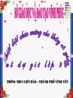 Ôn tập tiếng Việt lớp 9