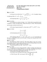 Đề thi HSG tỉnh & ĐA (2010-2011)