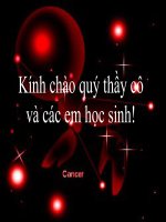 Tranh dân gian...