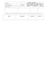 KIỂM TRA GIỮA HỌC KÌ II nh 2010 - 2011 TOÁN + ĐÁP ÁN