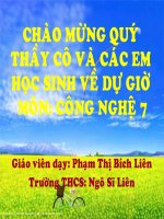 tiet 30, sinh truong va phat duc o vat nuoi