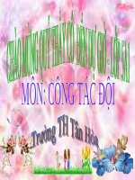 Giáo án công tác Đội