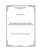 Phát triển nông thôn tỉnh Thái Bình trong quá trình hội nhập kinh tế quốc tế