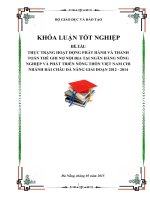 THỰC TRẠNG HOẠT ĐỘNG PHÁT HÀNH và THANH TOÁN THẺ GHI nợ nội địa tại NGÂN HÀNG NÔNG NGHIỆP và PHÁT TRIỂN NÔNG THÔN VIỆT NAM CHI NHÁNH hải CHÂU đà NẴNG GIAI đoạn 2012   2014