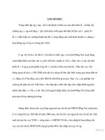 TÌM HIỂU CÁC NHÂN TỐ ẢNH HƯỞNG VÀ RỦI RO HOẠT ĐỘNG CHO VAY NGOẠI TỆ ĐỐI VỚI DOANH NGHIỆP XUẤT NHẬP KHẨU TẠI VIỆT NAM NÓI CHUNG VÀ NGÂN HÀNG THƯƠNG MẠI CỔ PHẦN NGOẠI THƯƠNG ĐỒNG NAI NÓI RIÊNG