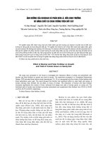 báo cáo khoa học đề tài Ảnh hưởng của biochar và phân bón lá đến sinh trưởng và năng suất cà chua trồng trên đất cát