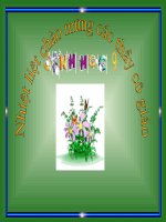 sinh 9- tiết 39: các PP chọn lọc