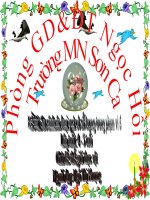 LQVT: So sánh các đối tượng trong phạm vi 4