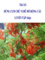 Tiet 111 Dung cum CV de mo rong cau - luyen tap