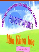 phong tranh tai nan duoi nuoc-khoahoc4