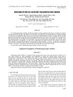 báo cáo khoa học đề tài NHÂN DÒNG VÔ TÍNH CÂY LAN HỒ ĐIỆP PHALAENOPSIS SOGO YUKIDIAN