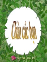 chu kỳ hoạt động của tim.