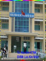 Axit Cacboxylic 11cb-tiet 2