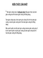 ­ung dung thuc te cua tam giac dong dang