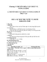 SỰ HẤP THỤ NƯỚC VÀ MUỐI KHOÁNG Ở RỄ