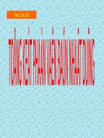 tổng kết phần văn bản nhật dụng