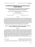 báo cáo khoa học đề tài TẠO VÀ NHÂN PHÔI SOMA SÂM NGỌC LINH (Panax vietnamensis Ha et Grushv.) TRONG MÔI TRƯỜNG LỎNG
