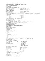 de thi giua ki ii nam 2010