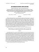 báo cáo khoa học đề tài Phân tích thông tin di truyền liên quan đến hiệu suất sử dụng đạm ở lúa