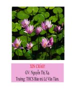 bai 49 Quần xã sinh vật