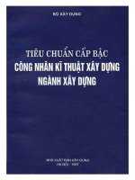 Tieu chuan cap bac CNKT nganh XD kem theo QD 163-BXD-KHCN