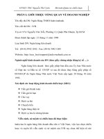 Phân tích quy trình hoạch định chiến lược của ngân hàng IVB