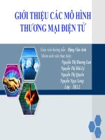 GIỚI THIỆU CÁC MÔ HÌNH THƯƠNG MẠI ĐIỆN TỬ