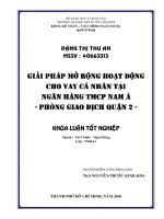 Giải pháp mở rộng hoạt động cho vay cá nhân tại ngân hàng TMCP Nam Á  Phòng giao dịch quận 2