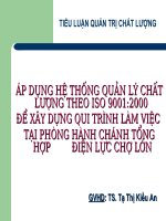 ÁP DỤNG HỆ THỐNG QUẢN LÝ CHẤT LƯỢNG THEO ISO 90012000 ĐỂ XÂY DỰNG QUI TRÌNH LÀM VIỆC TẠI PHÒNG HÀNH CHÁNH TỔNG HỢP ĐIỆN LỰC CHỢ LỚN