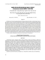 báo cáo khoa học đề tài NGHIÊN CỨU ĐẶC ĐIỂM MÔ BỆNH HỌC MANG CÁ TRẮM CỎ (Ctenopharyngo donidella) NHIỄM KÝ SINH TRÙNG