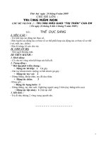 Chủ đề (Trường Mầm non)