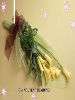 Bài 36: Tốc độ phản ứng hóa học.T1