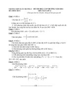 ĐỀ THI HSG -TOÁN 12-THPT-XTC-2011