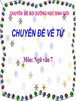 Chuyen de học sinh gioi lop 7