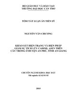 tóm tắt luận án Khảo sát hiện trạng và biện pháp giảm sự tích lũy Cadimi, Asen trên cây trồng ở huyện An Phú, tỉnh An Giang