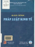 Giáo trình Pháp luật kinh tế