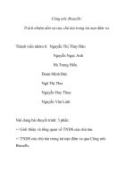 Tiểu luận Bàn về Công ước Brusells Trách nhiệm dân sự của chủ tàu trong tai nạn đâm va