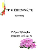 Tiet 38 Hoi huong ngau thu