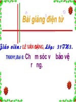cham soc va bao ve rang-TNXH2
