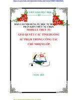 BÁO CÁO NỘI DUNG TỰ HỌC TỰ BỒI DƯỠNG PHẦN KIẾN THỨC TỰ CHỌN. MODULE THCS  33: GIẢI QUYẾT CÁC TÌNH HUỐNG  SƯ PHẠM TRONG CÔNG TÁC  CHỦ NHIỆM LỚP.